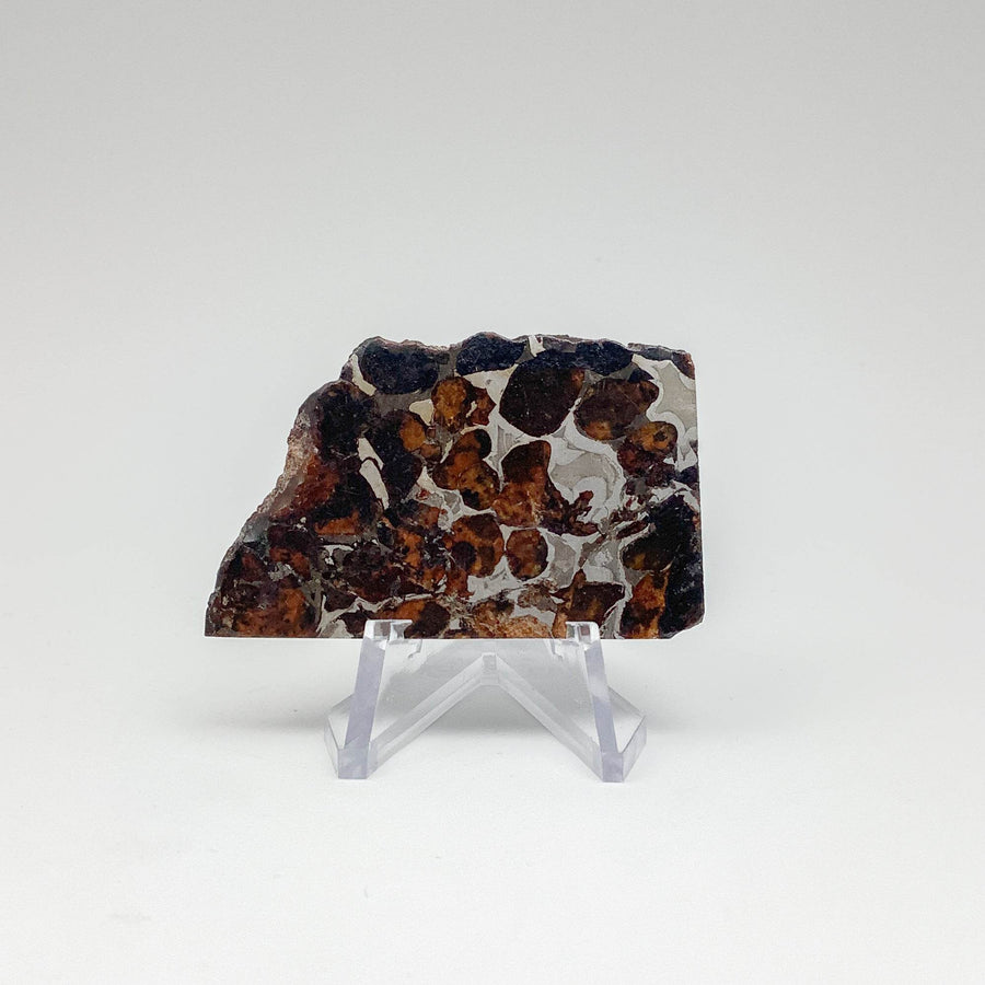 Sericho Meteorite Slice-Rocks and Gems Canada