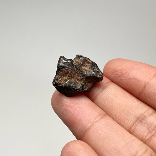 Sericho Meteorite - Rocks and Gems Canada