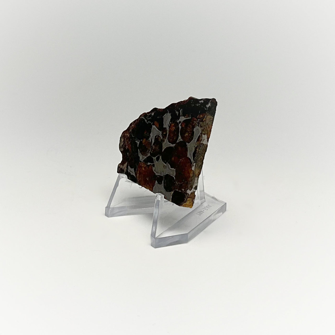 Sericho Meteorite Slice
