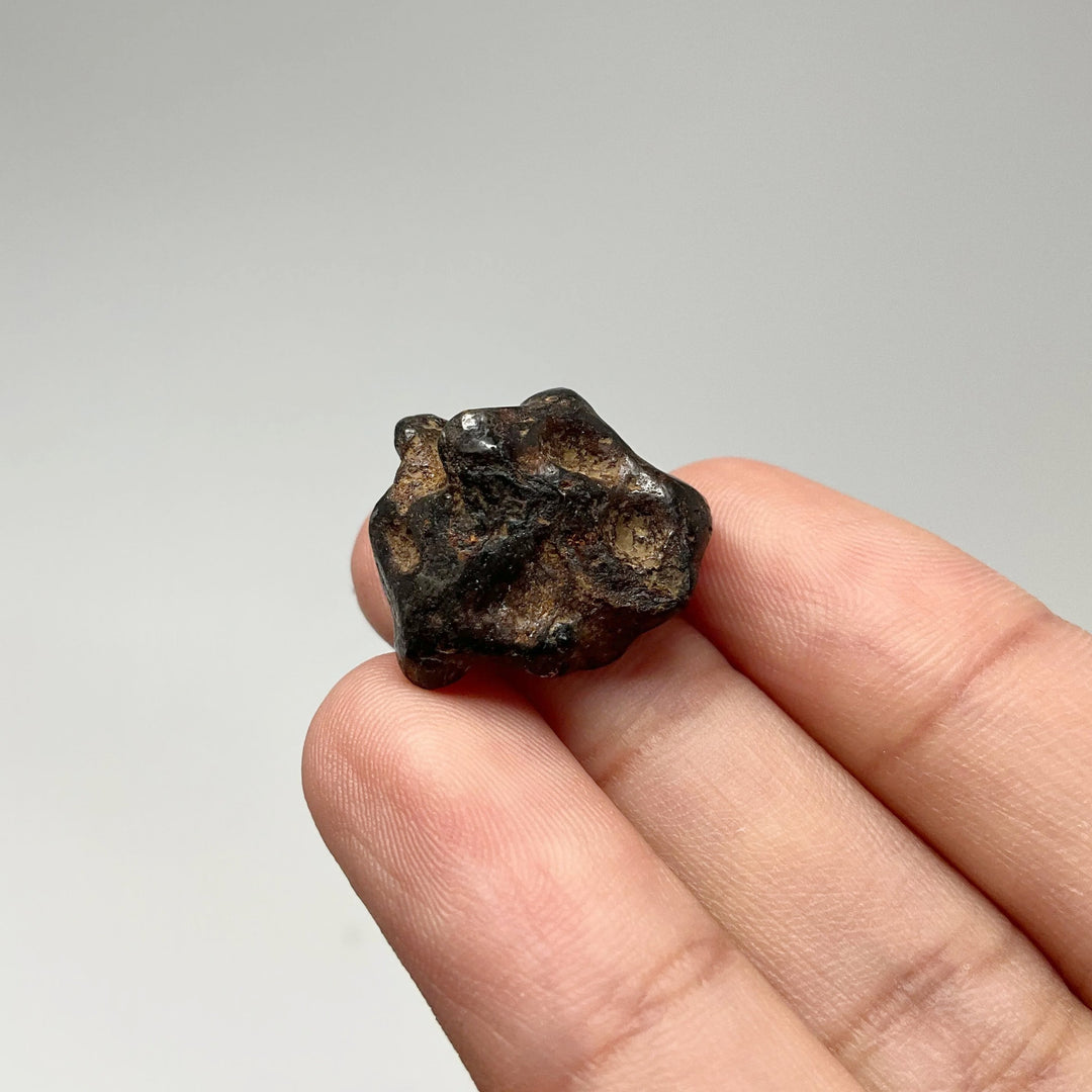 Sericho Meteorite - Rocks and Gems Canada