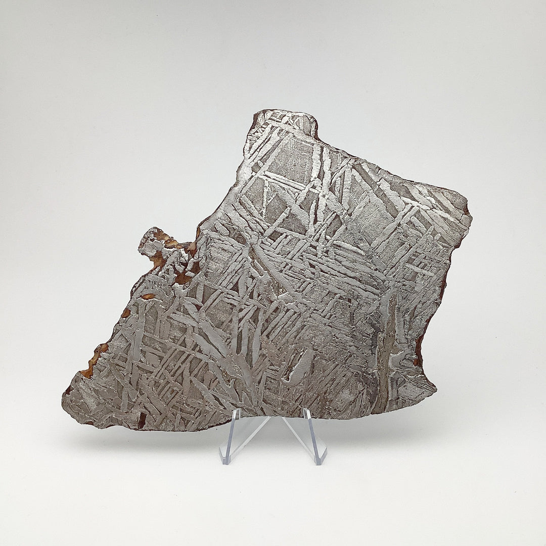 Seymchan Meteorite Slice - Rocks and Gems Canada