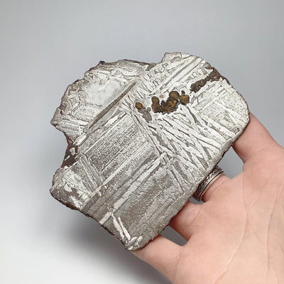 Seymchan Meteorite Slice