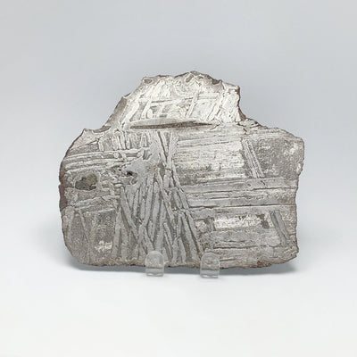 Seymchan Meteorite Slice