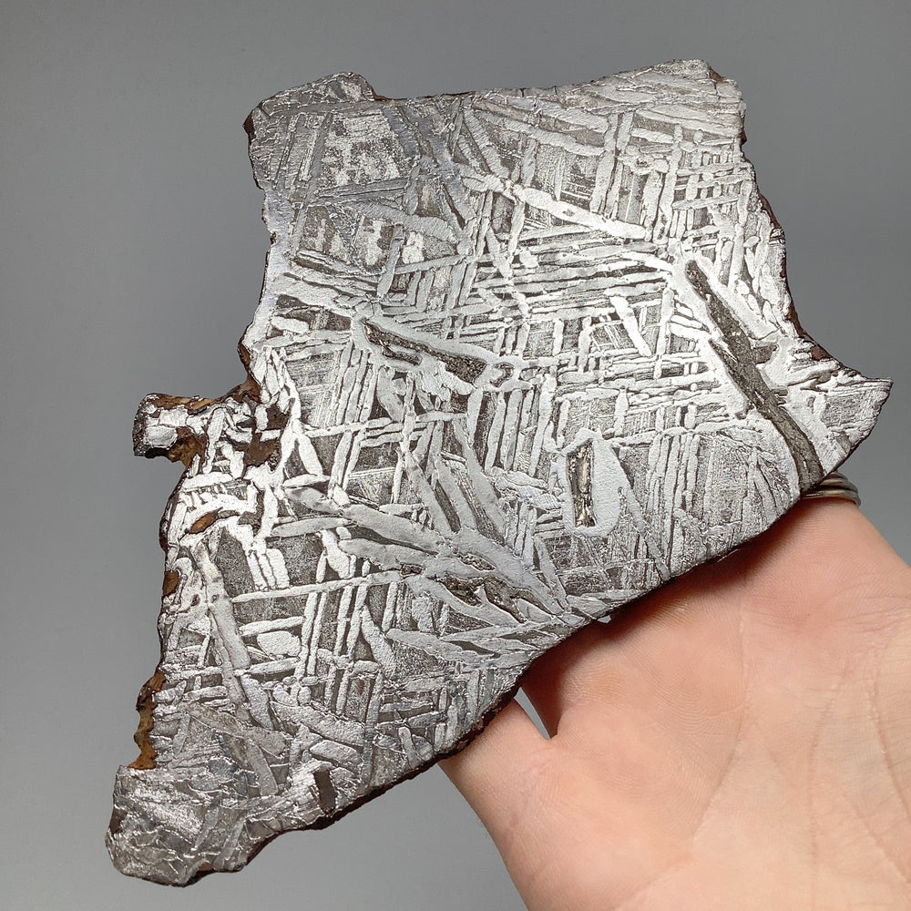 Seymchan Meteorite Slice - Rocks and Gems Canada