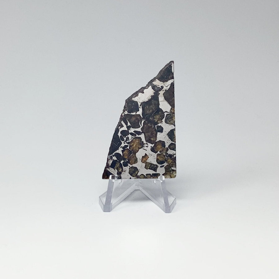Seymchan Meteorite With Olivine