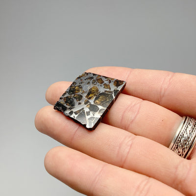 Seymchan Meteorite With Olivine