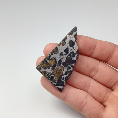 Seymchan Meteorite With Olivine