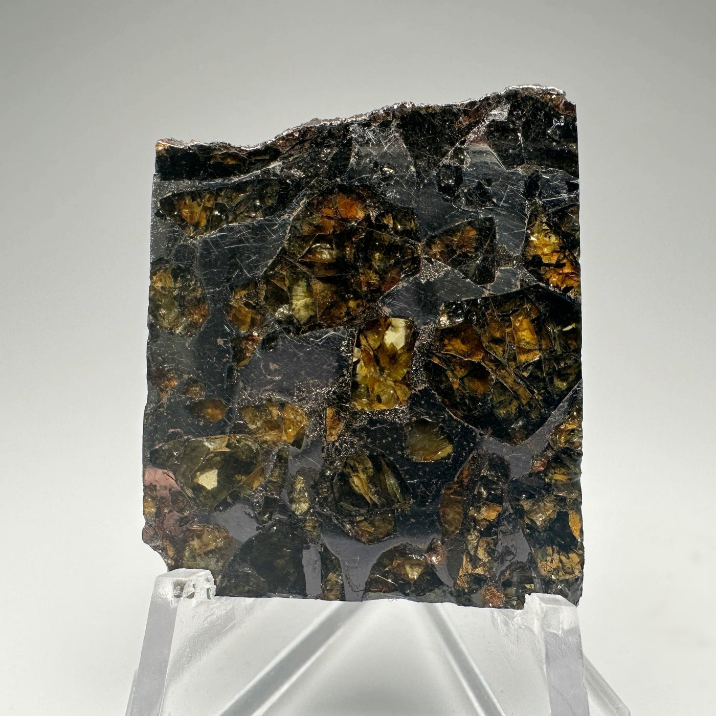 Seymchan Meteorite With Olivine