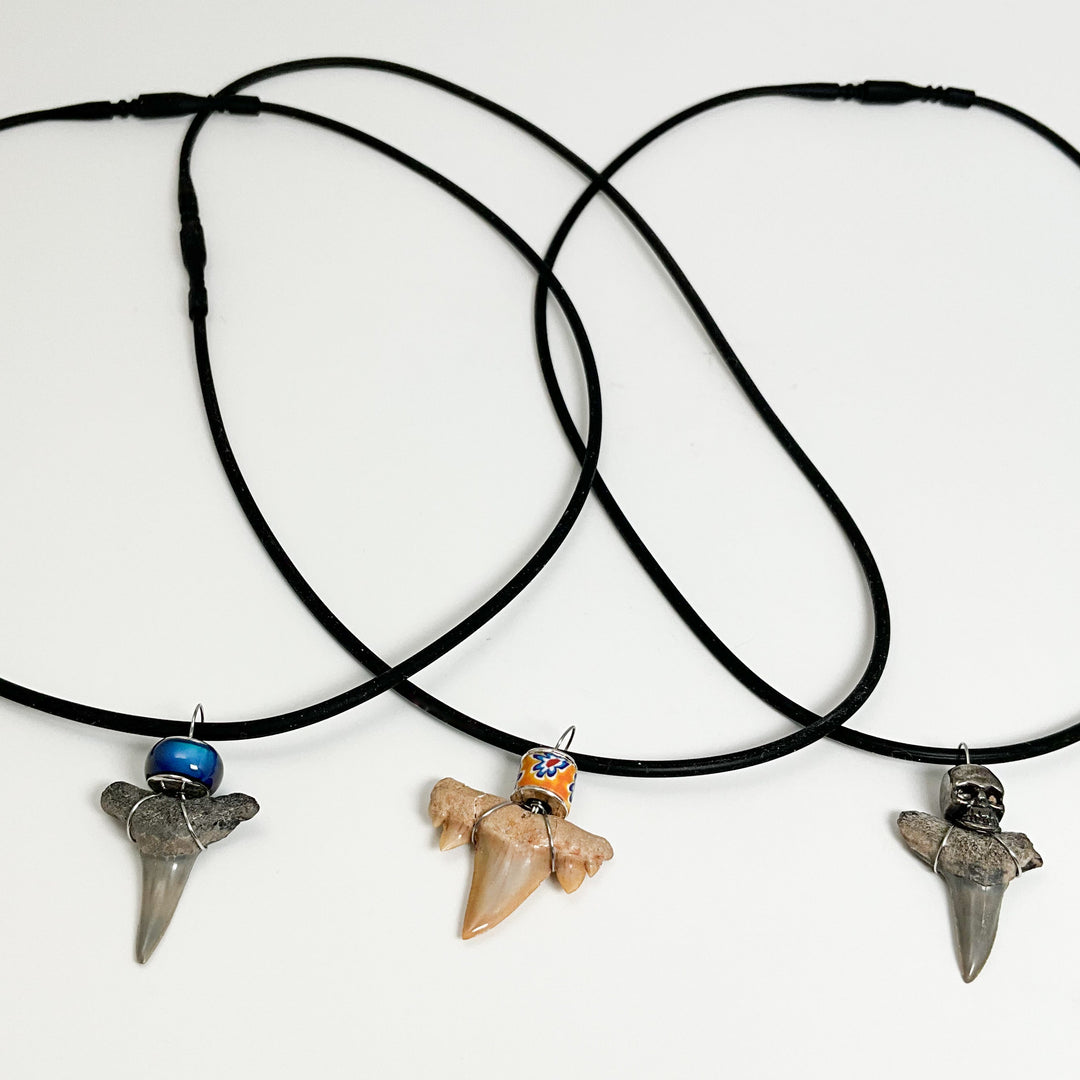 Fossilized Shark Tooth Necklace - Rocks and Gems Canada