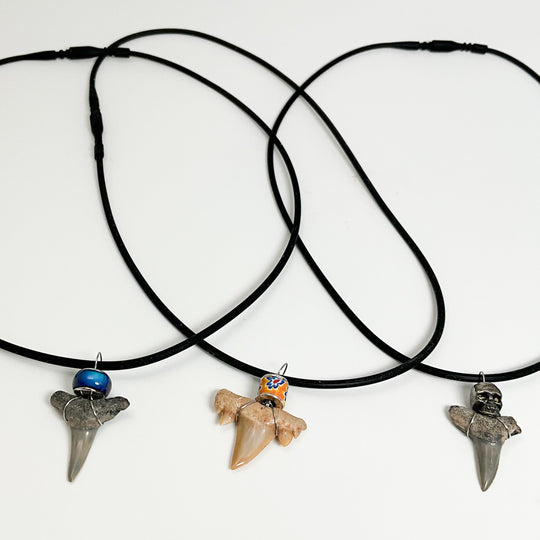 Fossilized Shark Tooth Necklace - Rocks and Gems Canada