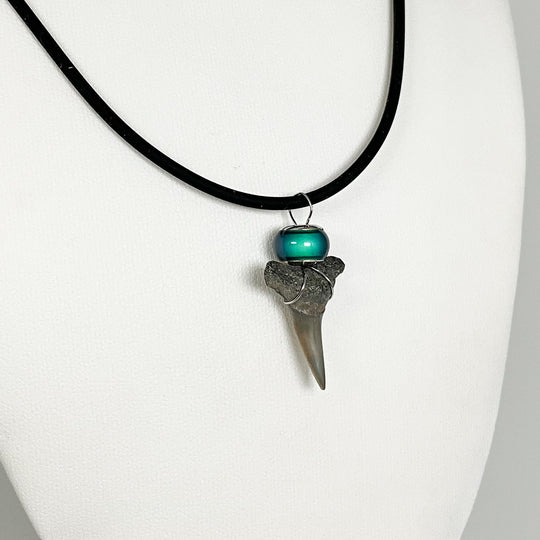 Fossilized Shark Tooth Necklace - Rocks and Gems Canada