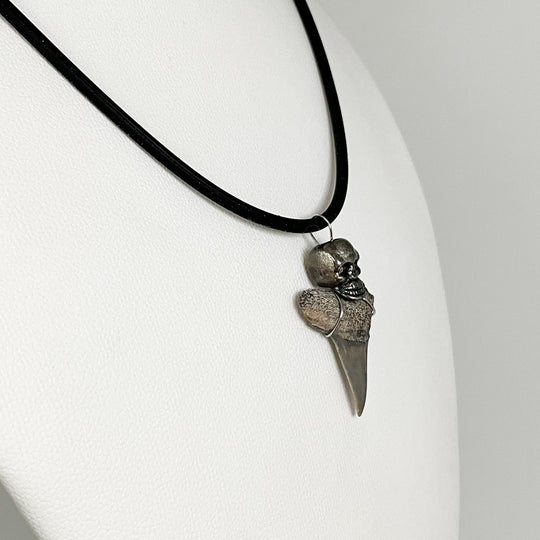 Fossilized Shark Tooth Necklace - Rocks and Gems Canada