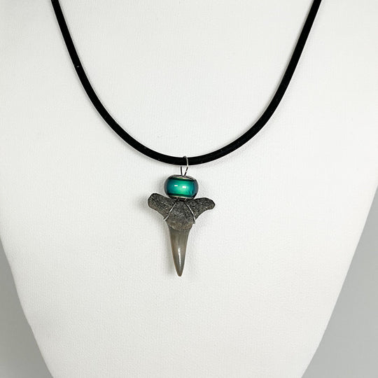 Fossilized Shark Tooth Necklace - Rocks and Gems Canada