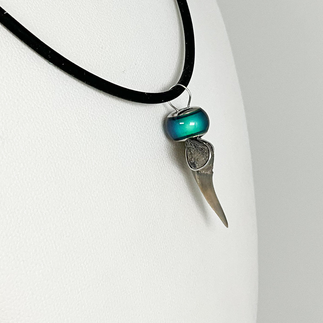 Fossilized Shark Tooth Necklace - Rocks and Gems Canada