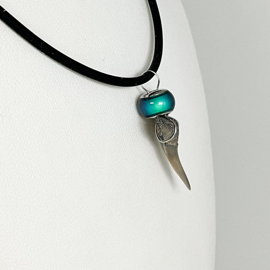 Fossilized Shark Tooth Necklace - Rocks and Gems Canada