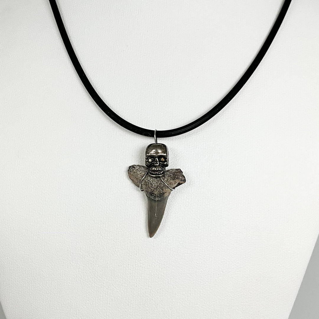 Fossilized Shark Tooth Necklace - Rocks and Gems Canada