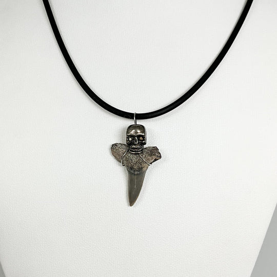 Fossilized Shark Tooth Necklace - Rocks and Gems Canada