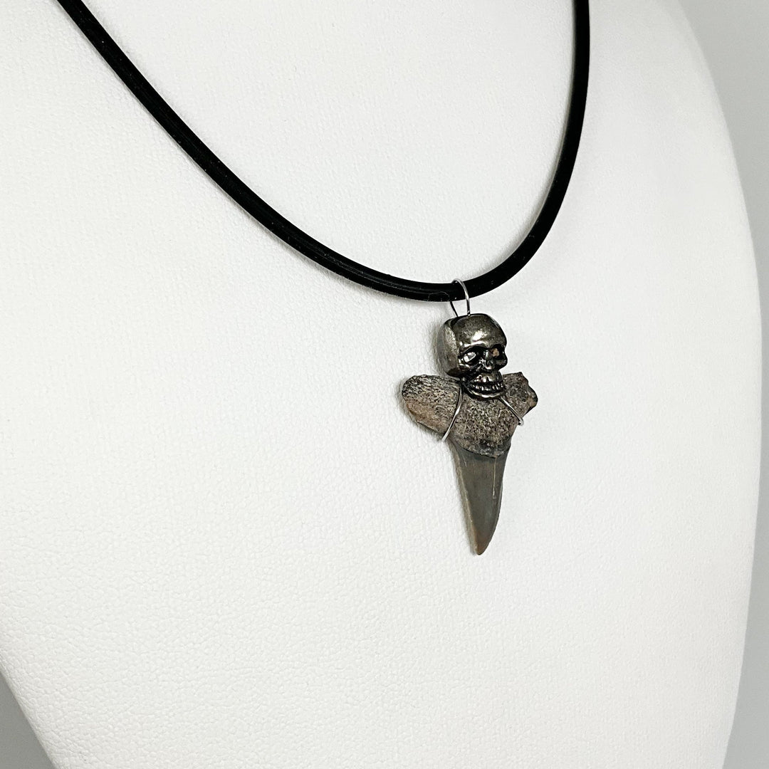 Fossilized Shark Tooth Necklace - Rocks and Gems Canada