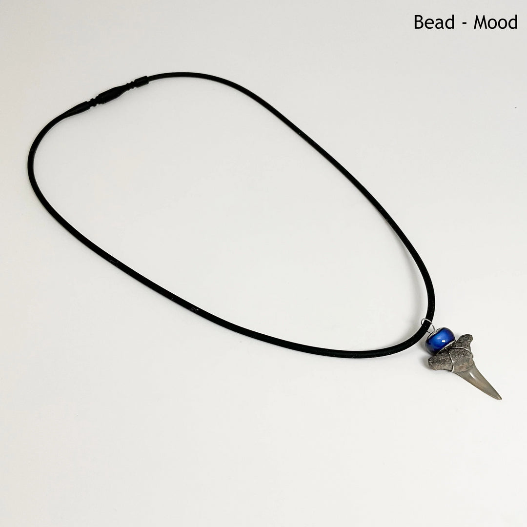 Fossilized Shark Tooth Necklace - Rocks and Gems Canada