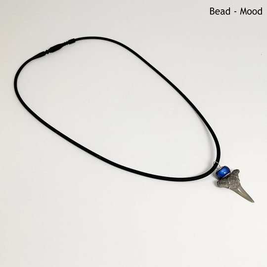 Fossilized Shark Tooth Necklace - Rocks and Gems Canada