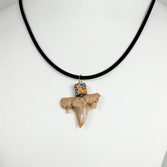Fossilized Shark Tooth Necklace - Rocks and Gems Canada