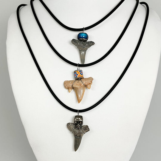 Fossilized Shark Tooth Necklace - Rocks and Gems Canada