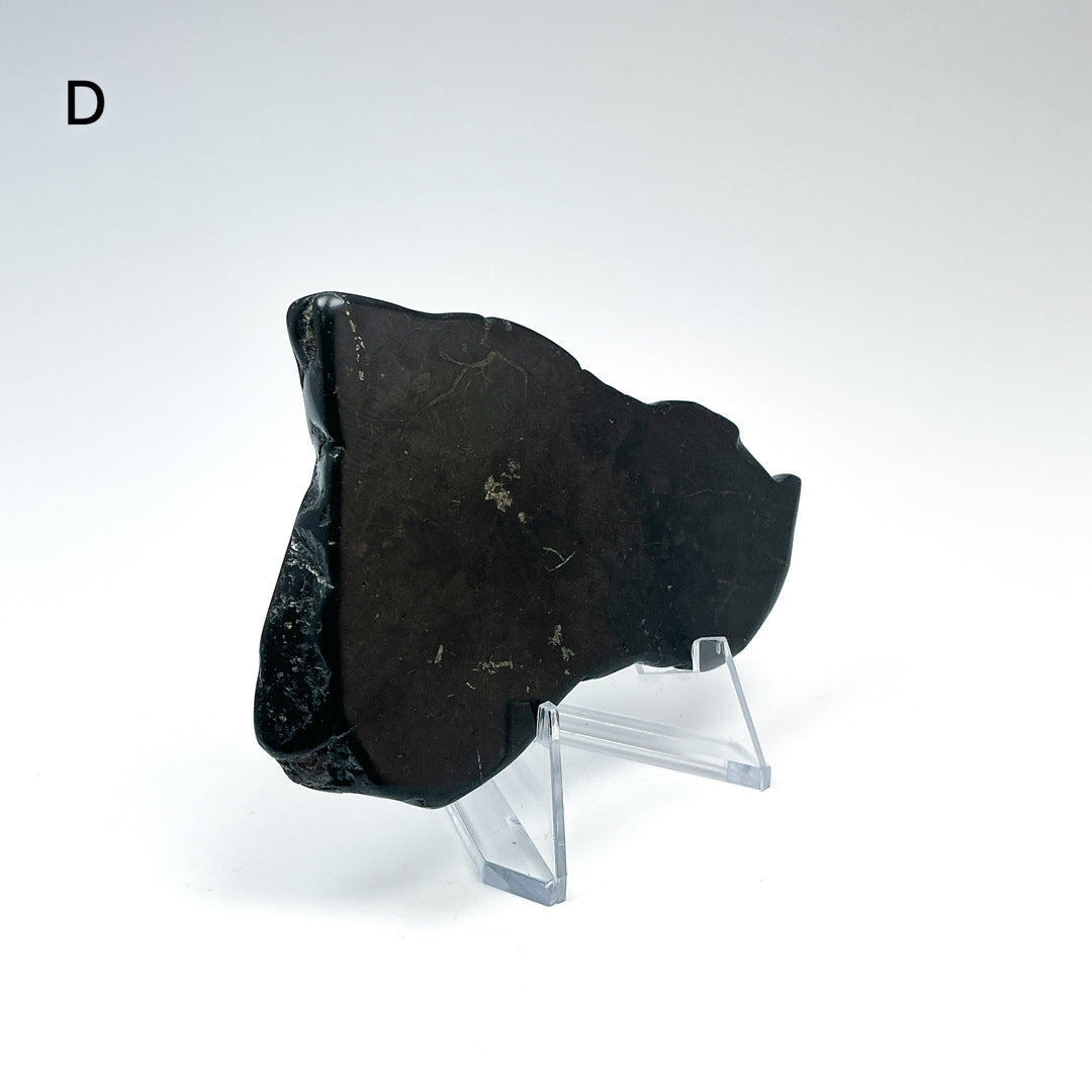 Shungite Slice-Rocks and Gems Canada
