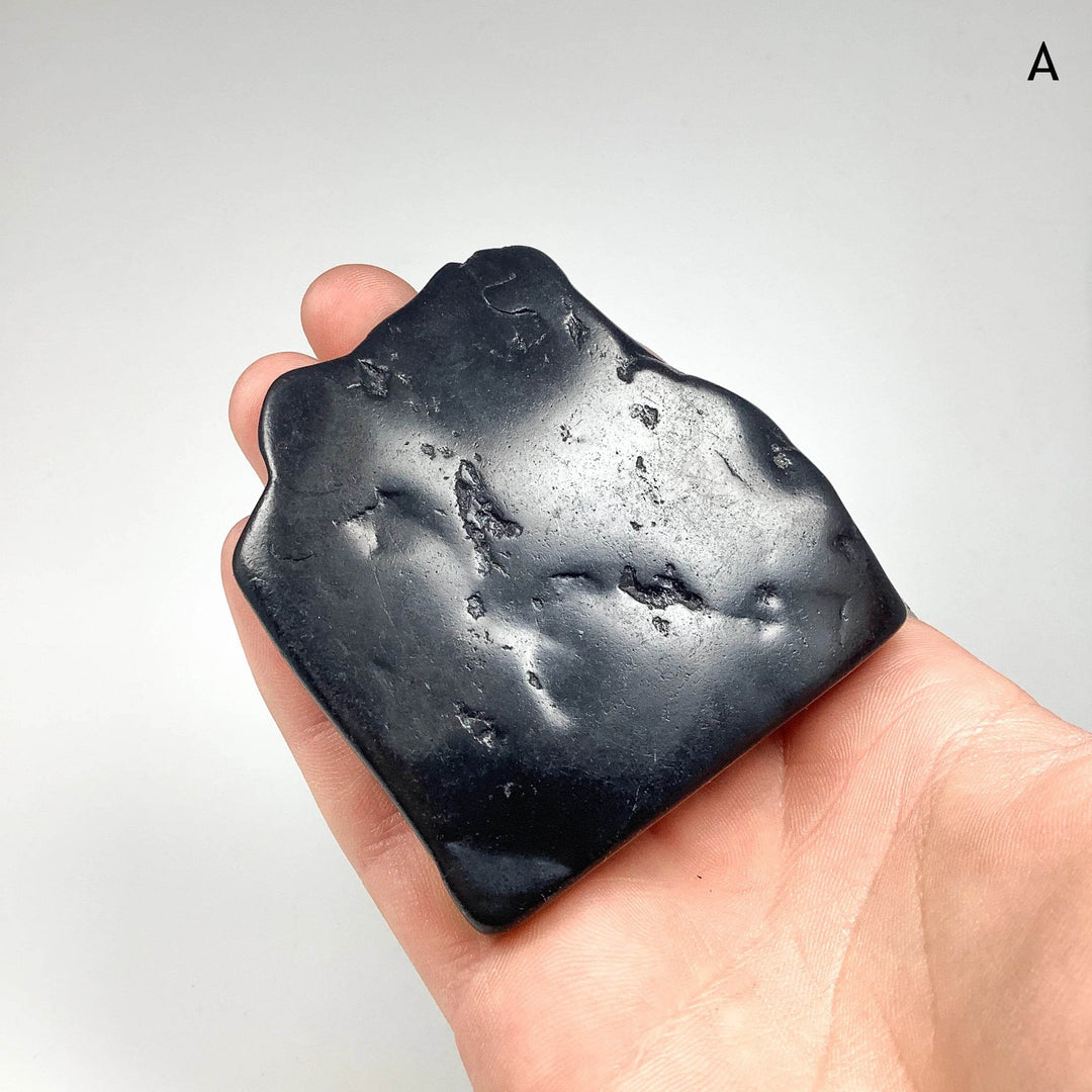 Shungite Slice - Rocks and Gems Canada