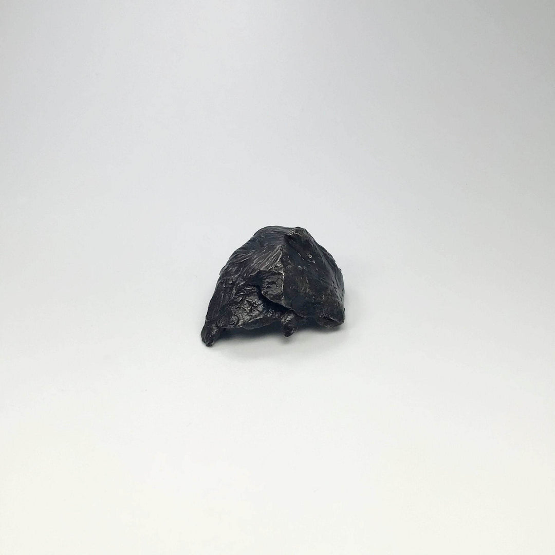 Sikhote-Alin Shrapnel Meteorite-Rocks and Gems Canada