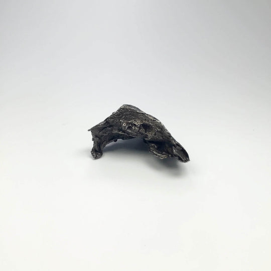Sikhote-Alin Shrapnel Meteorite-Rocks and Gems Canada