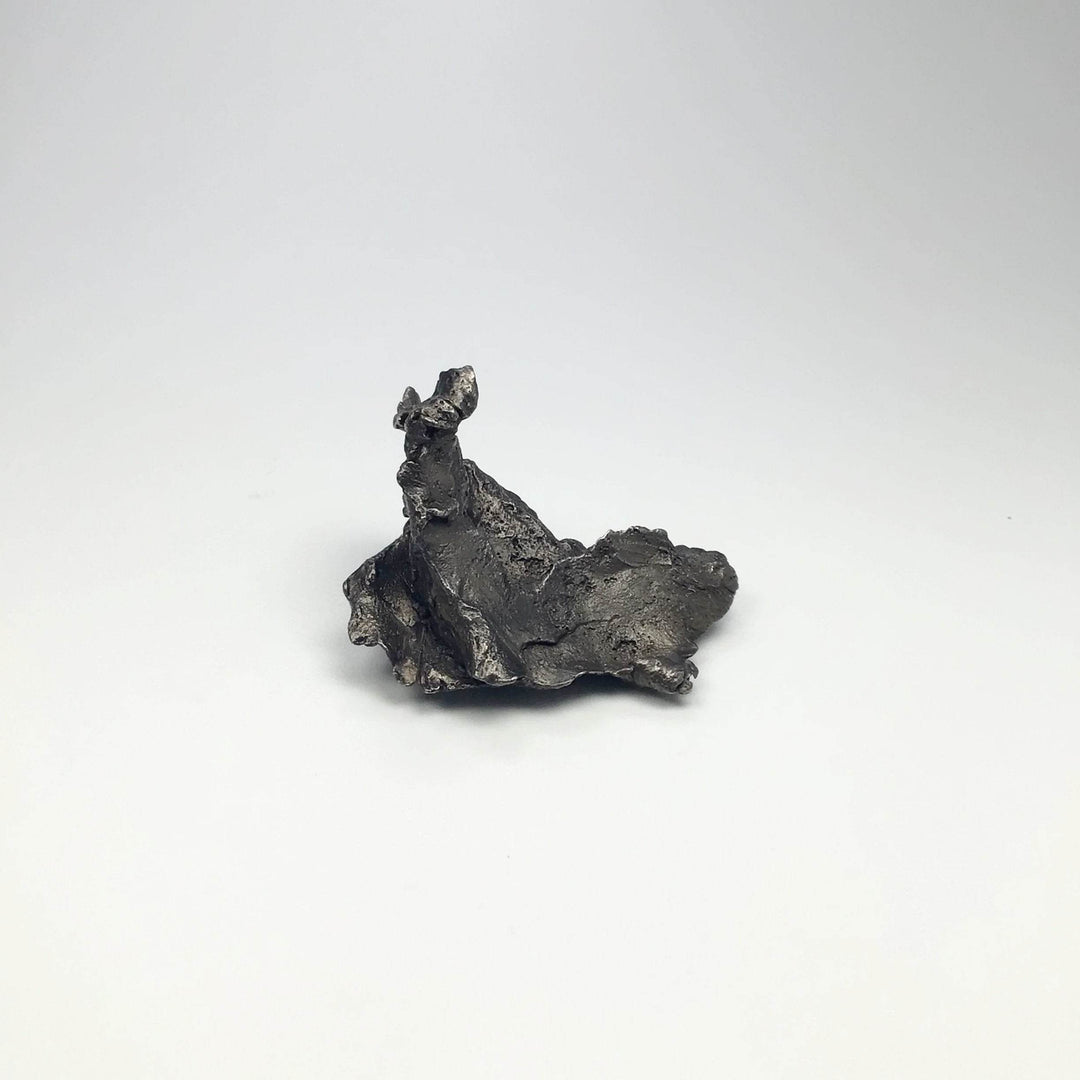 Sikhote-Alin Shrapnel Meteorite-Rocks and Gems Canada