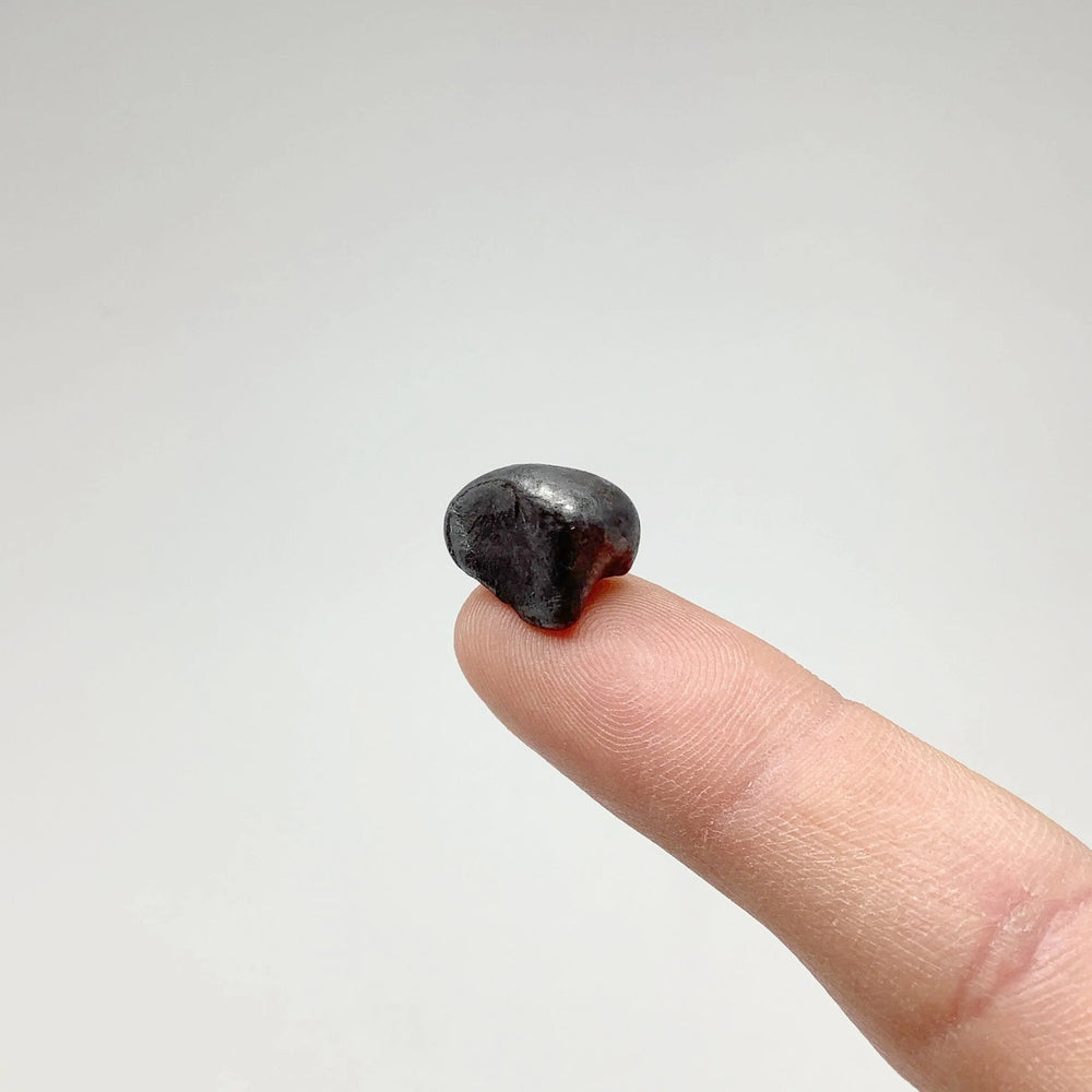 Sikhote-Alin Meteorite - Rocks and Gems Canada