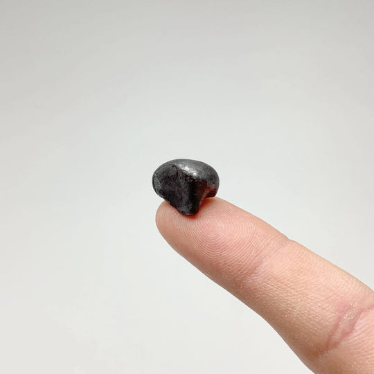 Sikhote-Alin Meteorite - Rocks and Gems Canada