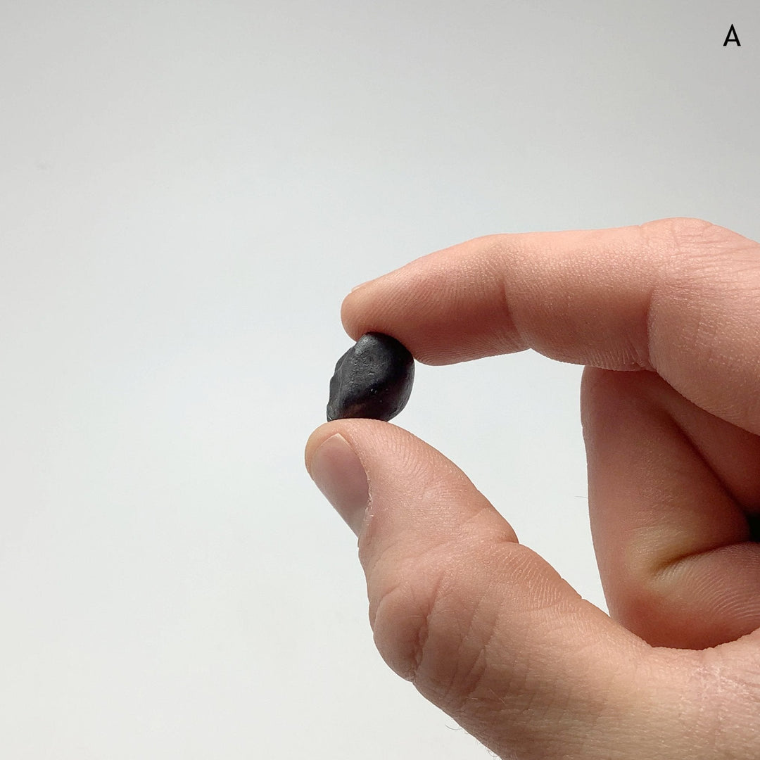 Sikhote-Alin Meteorite - Rocks and Gems Canada