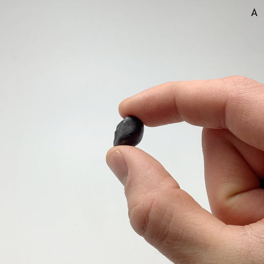 Sikhote-Alin Meteorite - Rocks and Gems Canada