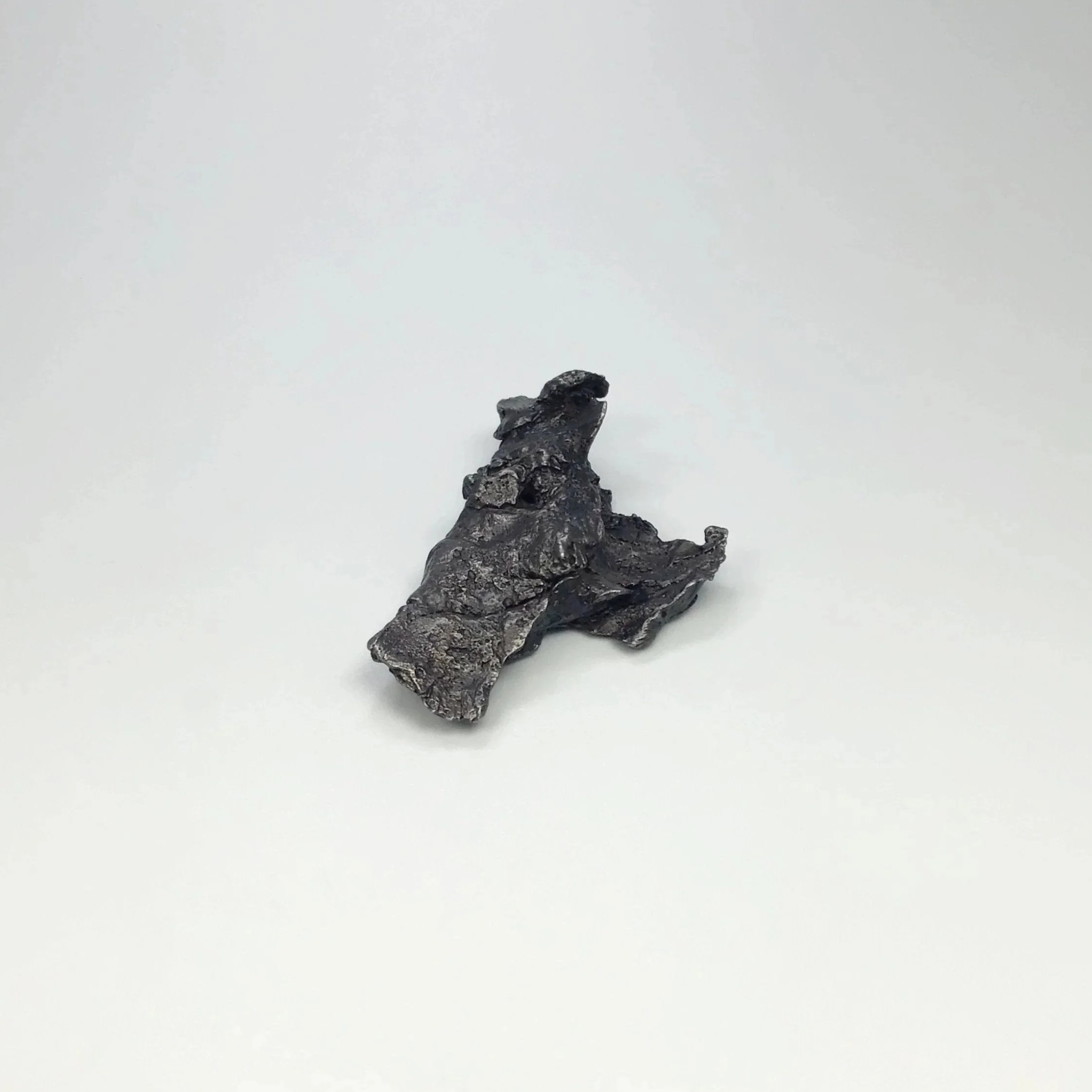 Sikhote-Alin Shrapnel Meteorite - Rocks and Gems Canada