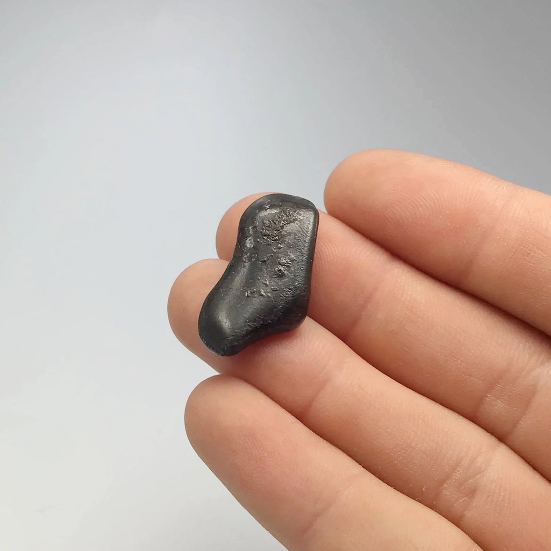 Sikhote-Alin Meteorite - Rocks and Gems Canada