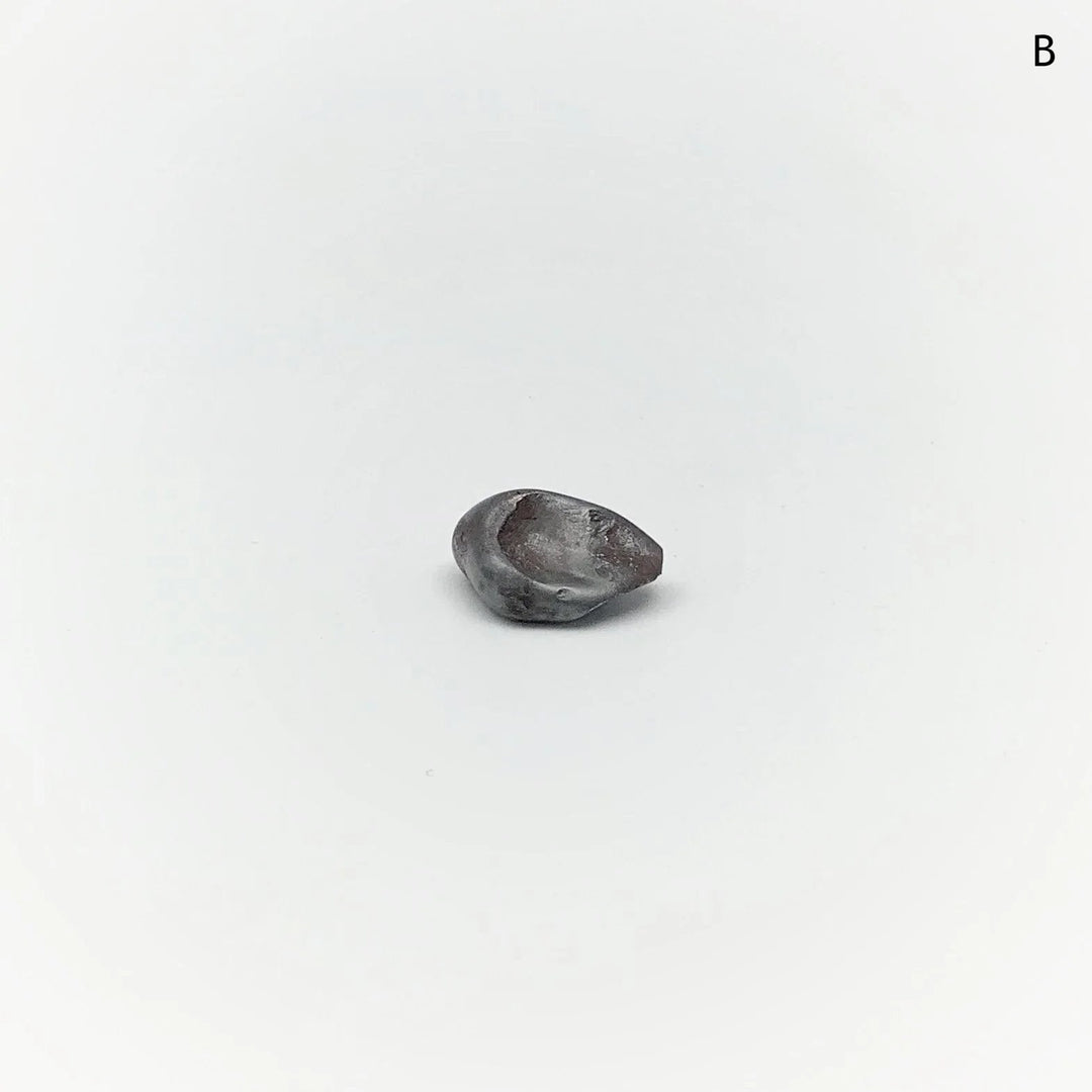 Sikhote-Alin Meteorite - Rocks and Gems Canada