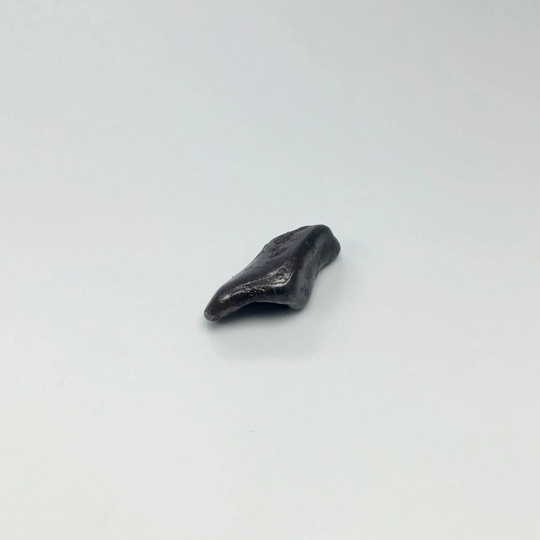 Sikhote-Alin Meteorite - Rocks and Gems Canada