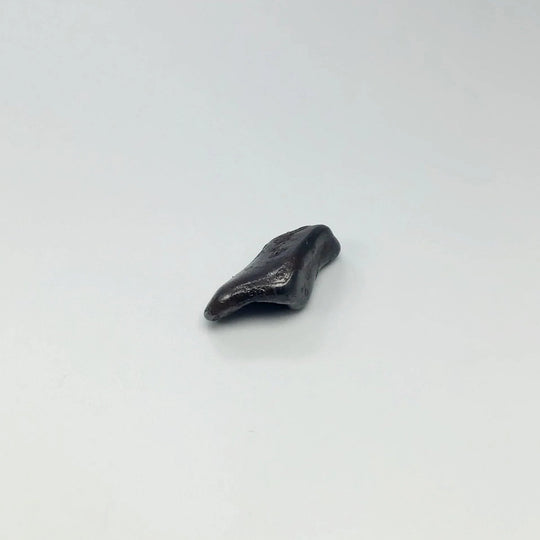 Sikhote-Alin Meteorite - Rocks and Gems Canada
