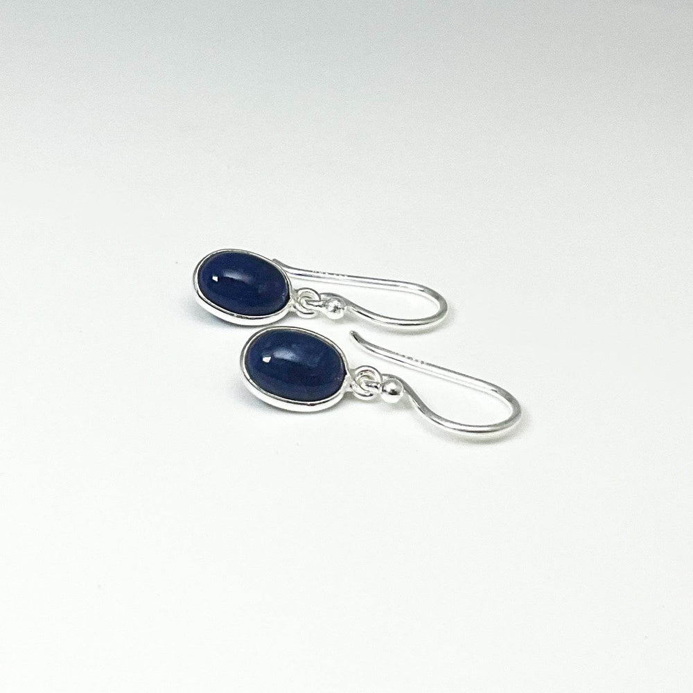 Sodalite Dangle Earrings-Rocks and Gems Canada