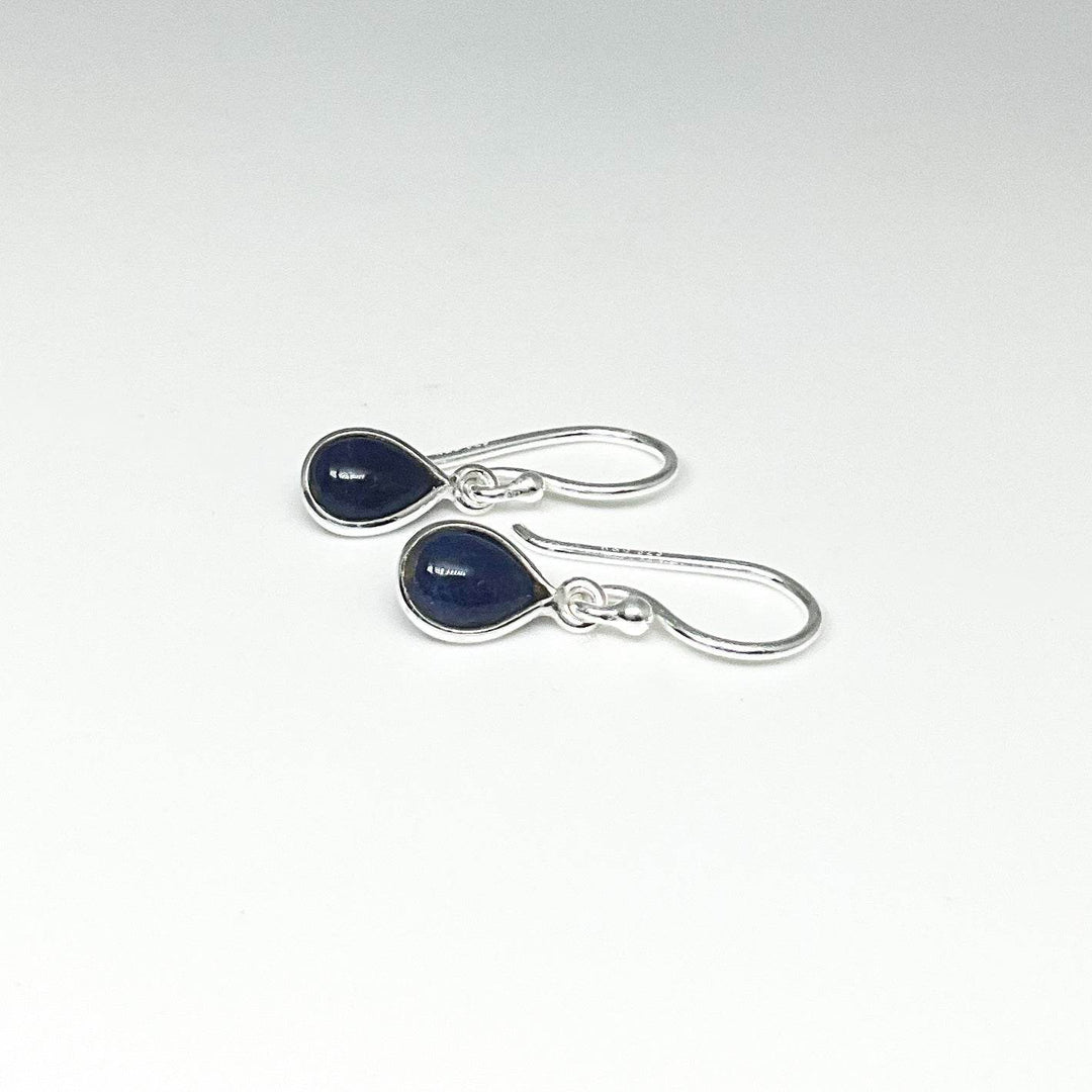 Sodalite Dangle Earrings-Rocks and Gems Canada