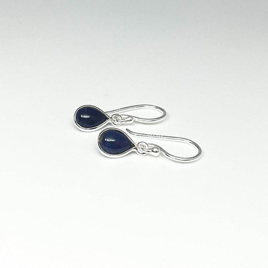 Sodalite Dangle Earrings-Rocks and Gems Canada