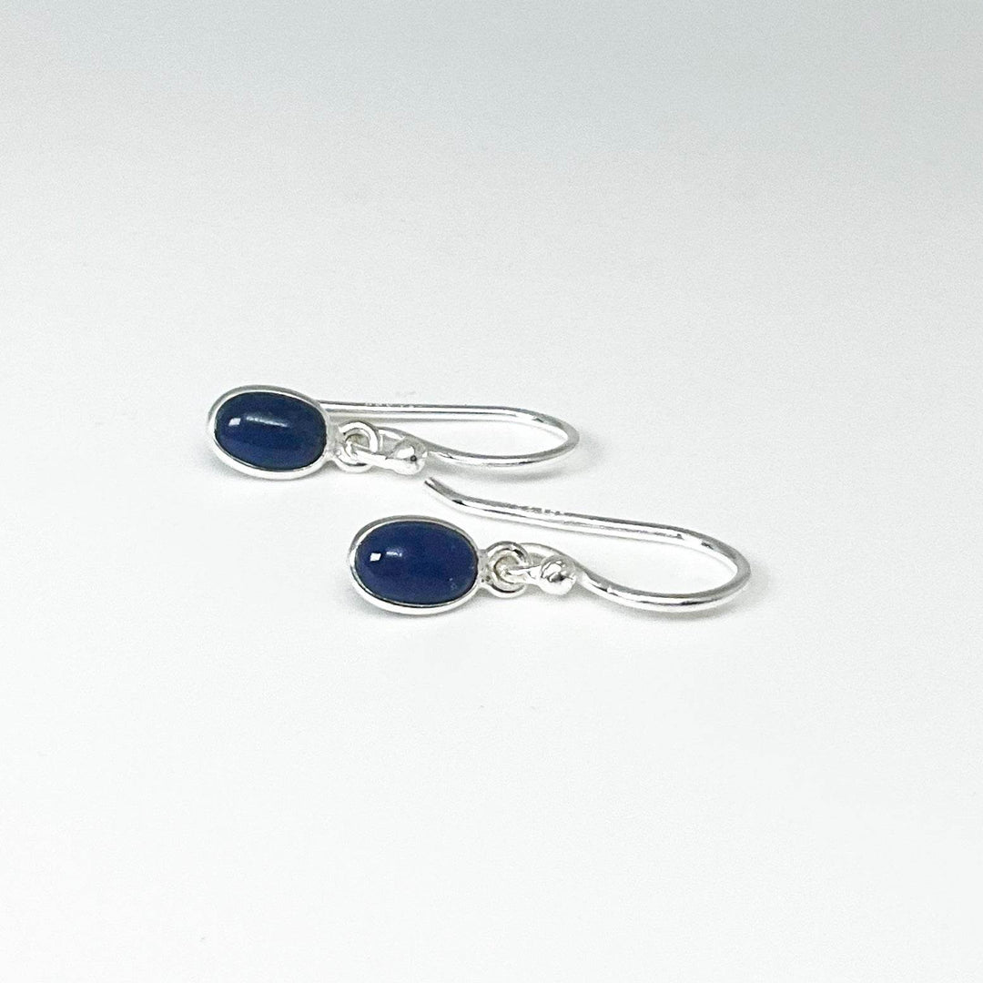 Sodalite Dangle Earrings-Rocks and Gems Canada