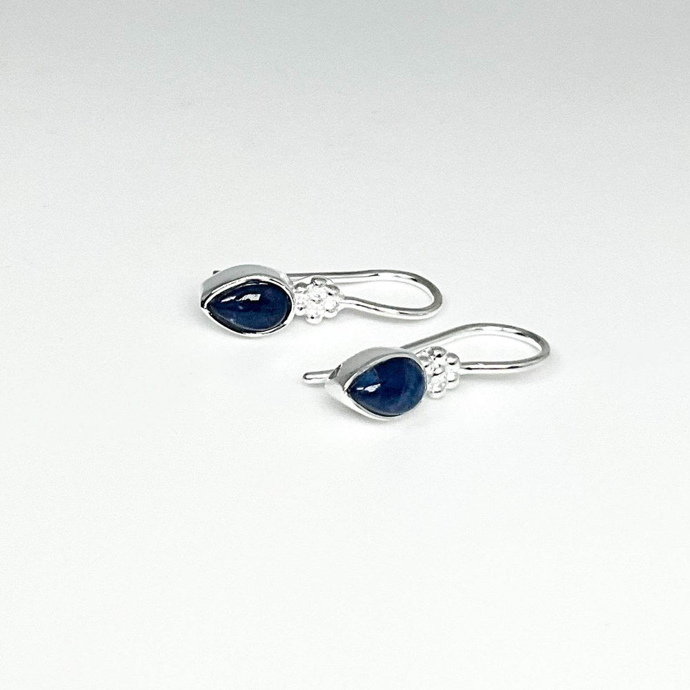 Sodalite Dangle Earrings-Rocks and Gems Canada