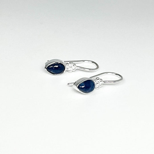 Sodalite Dangle Earrings-Rocks and Gems Canada