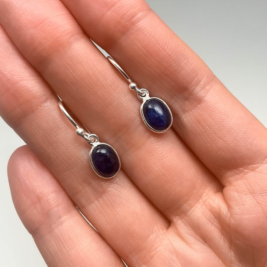 Sodalite Dangle Earrings-Rocks and Gems Canada