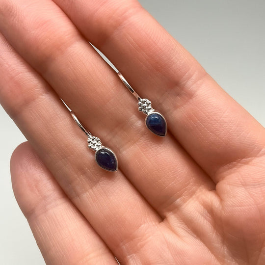 Sodalite Dangle Earrings-Rocks and Gems Canada