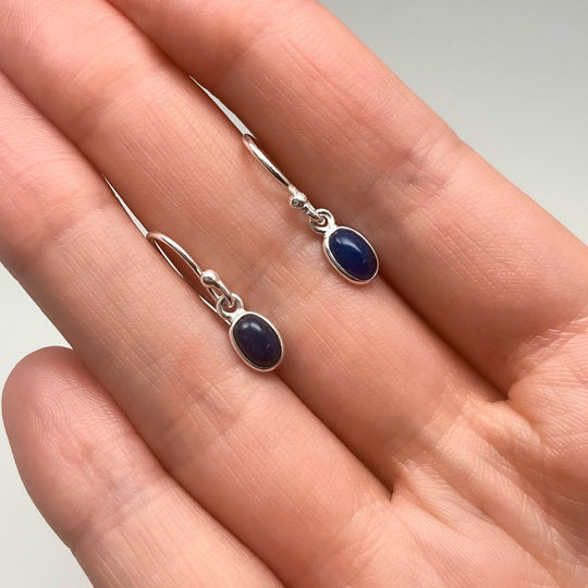 Sodalite Dangle Earrings-Rocks and Gems Canada