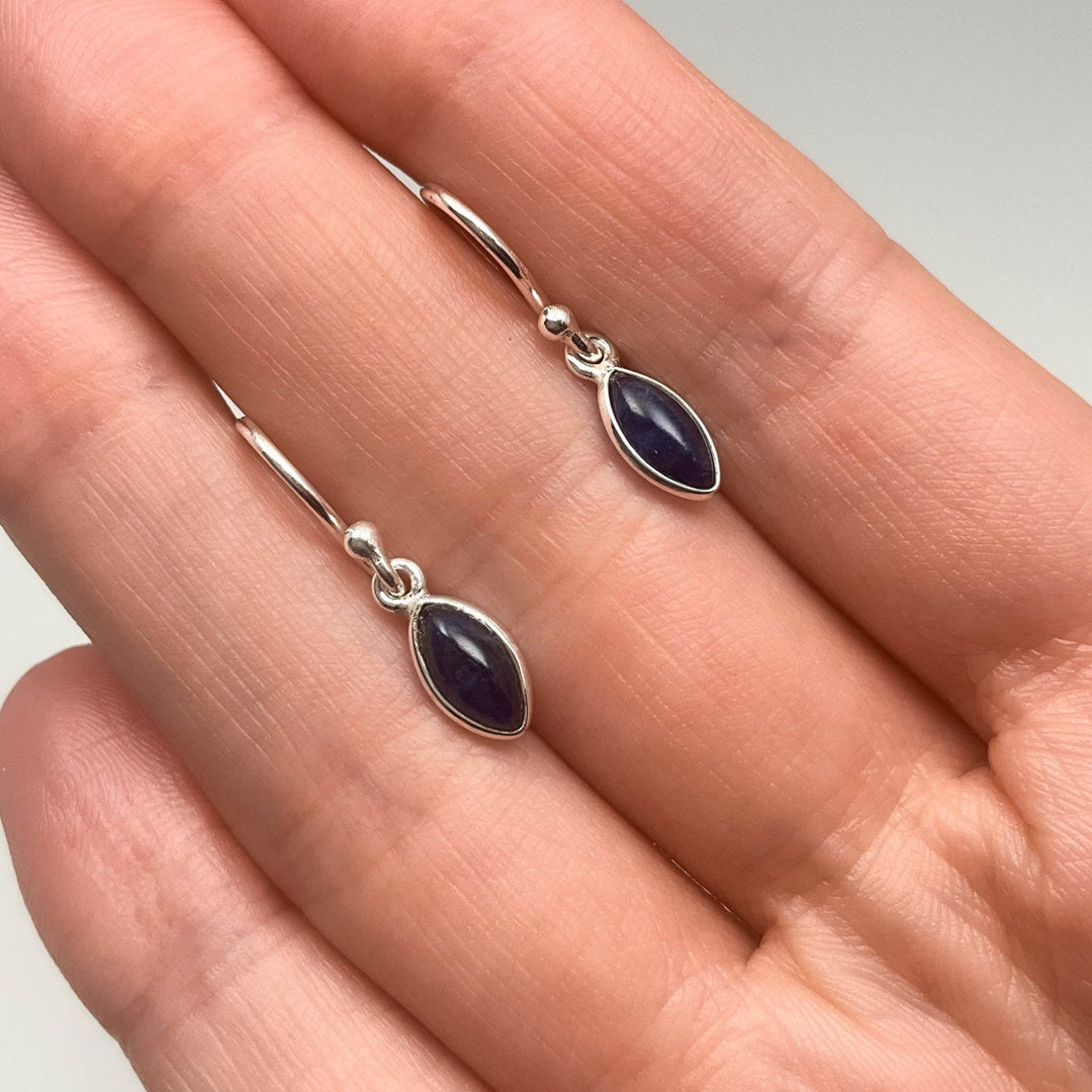Sodalite Dangle Earrings-Rocks and Gems Canada